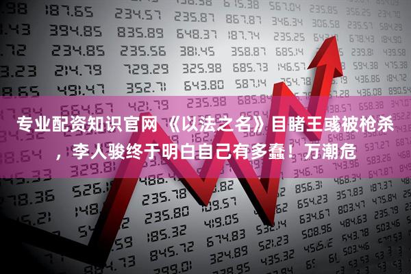 专业配资知识官网 《以法之名》目睹王彧被枪杀，李人骏终于明白自己有多蠢！万潮危